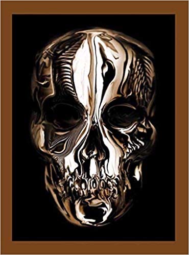 Portada de Alexander McQueen: Savage Beauty